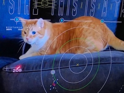 Video of cat sent to space using laser - Credit: Nasa / JLP