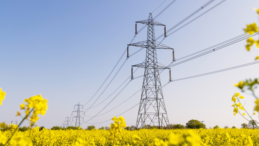 UK electricity pylons tower in nature field - Credit: Shutterstock