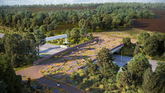 Visualisation of what the Cockrow green bridge, the M25 Junction 10 scheme, will look like in the future