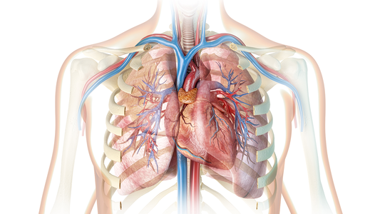 First fully robotic heart transplant in the US performed without opening chest
