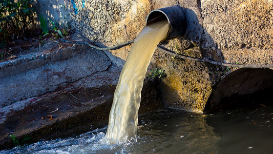 More than 2,000 properties across London are pumping raw sewage into rivers due to drainage misconnections, according to a BBC report.  - Uncredited