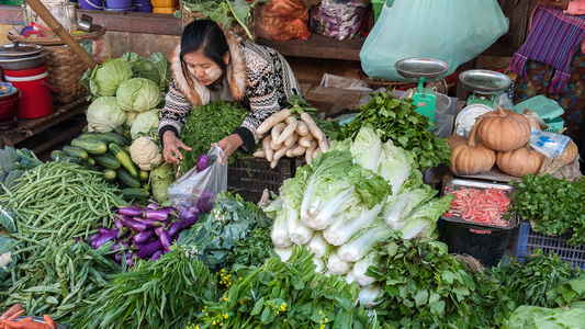 Transforming global food systems to slash greenhouse gas emissions, finds report - Uncredited