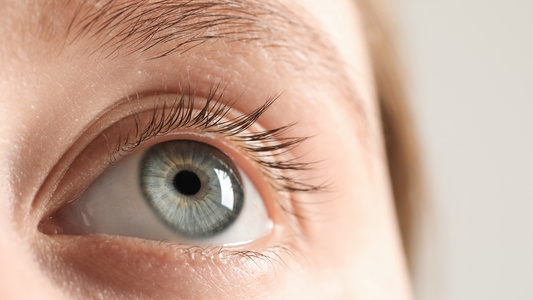 The Retina e-paper uses the tiniest pixels to produce a display indistinguishable from reality, according to a research study.  - Uncredited