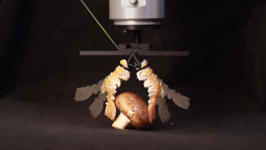 A new experimental robotic manipulator demonstrates how discarded food waste can be repurposed as functional components, according to a new study. - Uncredited