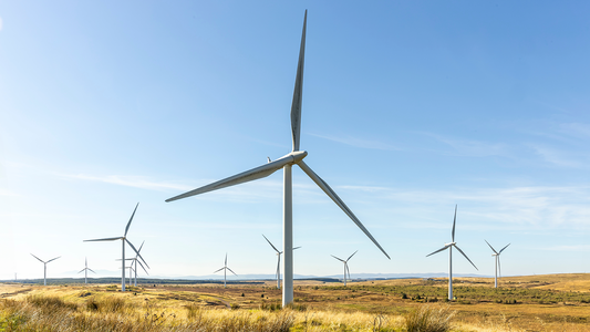 The amount of renewable electricity curtailed in Great Britain in 2025 would have been enough to meet the combined annual electricity demand of every household in London, according to a new report. - Uncredited