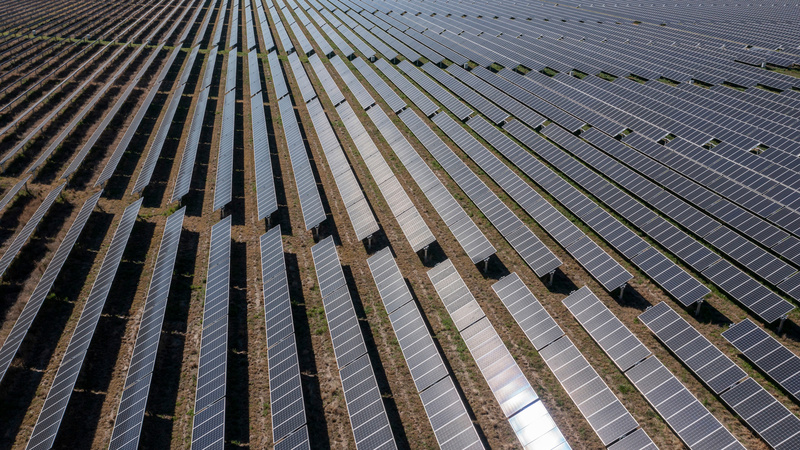 Record renewables auction puts UK on track for 2030 clean power goal, Miliband says