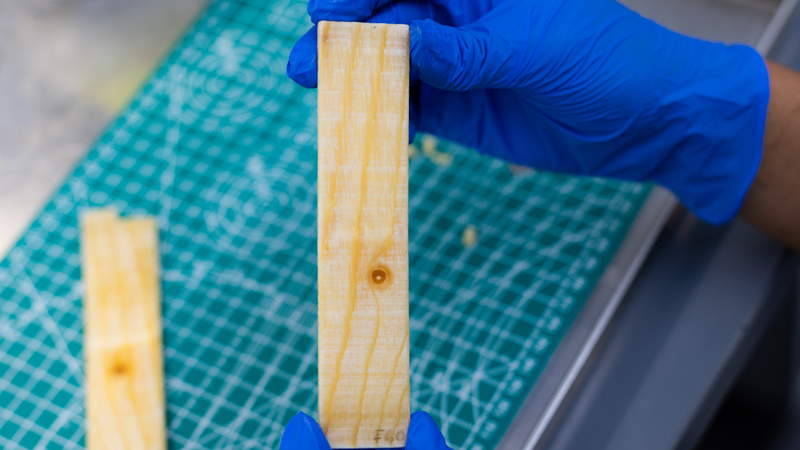 Wood-based material stores heat to cut building energy demand