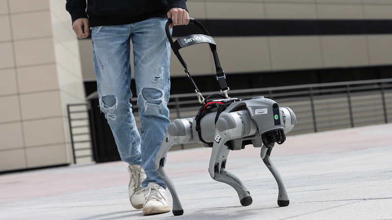 Talking robot dog could help to ease shortage of guide dogs for the blind