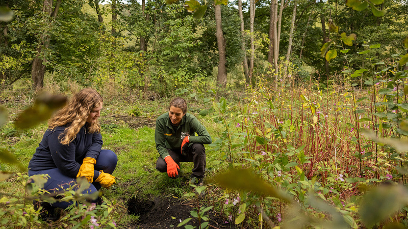 National Grid aims to boost nature recovery alongside grid upgrades